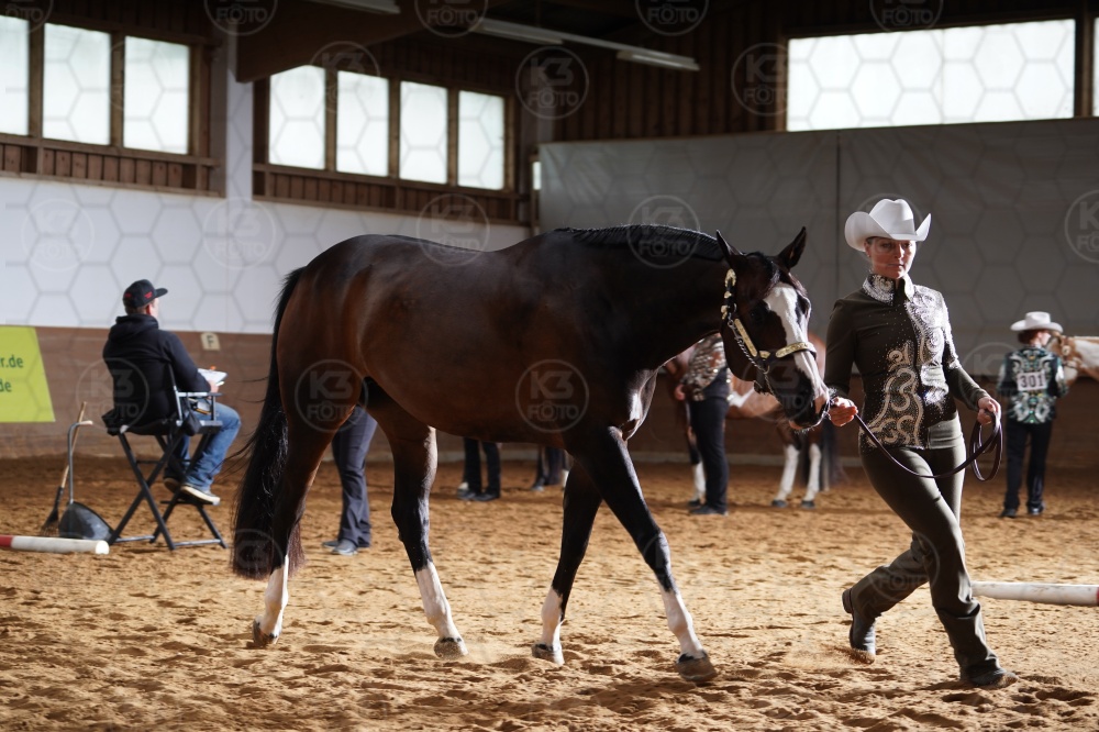 s_A9_08865.jpg